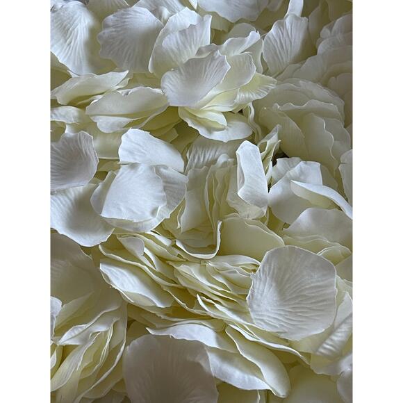 2 Bag Of Silk Rose Petals Ivory - Picture 1 of 5